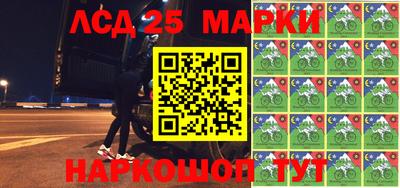 молекула духа Шелехов