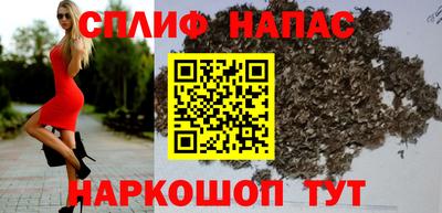 молекула духа Шелехов