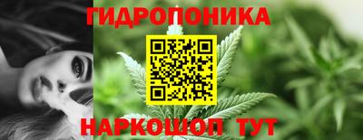 молекула духа Шелехов