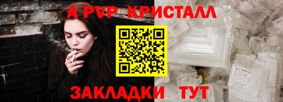молекула духа Шелехов