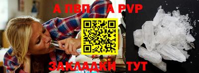 молекула духа Шелехов