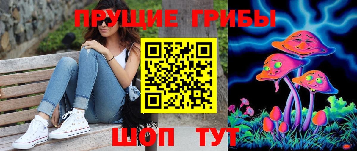 Великий Новгород  Галлюциногенные грибы Psilocybe  Вход с VPN 